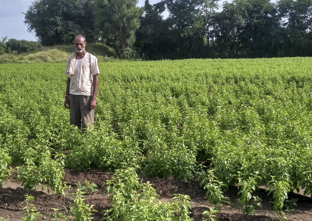 Modern Farming Methods, Techniques